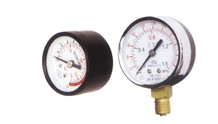 Rainpump TPS-S MANOMETRE