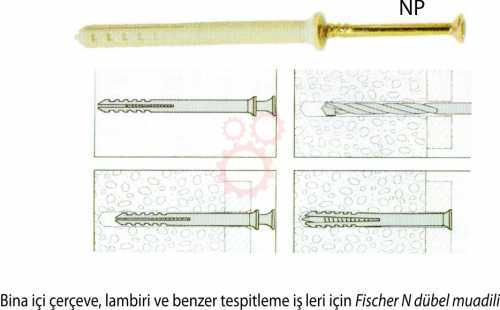 Apolo Mea 501505 MEA DUBEL 501505 NP 6 x 40